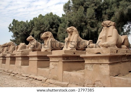 Sheeps statues in Luxor temple