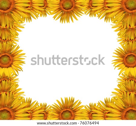 Sunflower frame