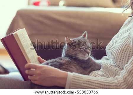Soft cuddly tabby cat lying in its owner\'s lap enjoying and purring while the owner is reading a book. Focus on the cat; warm, cozy, domestic atmosphere, selective focus