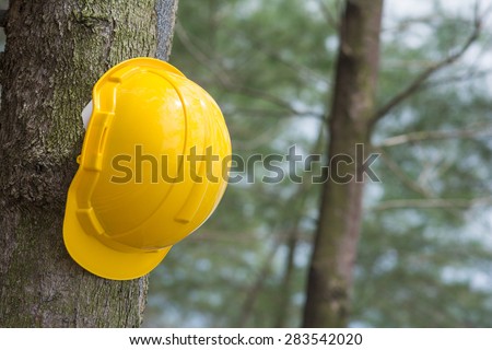 yellow hard hat on the tree, construction