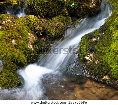 Little stream of water in the eastern alps