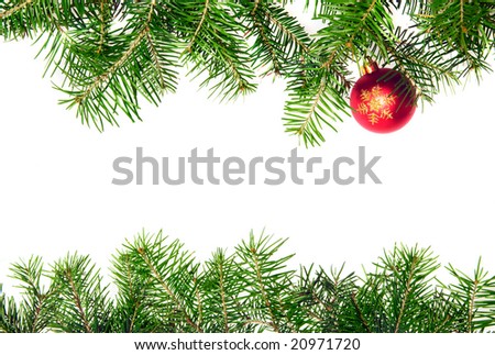arch branches government worksheets arch branches government worksheets