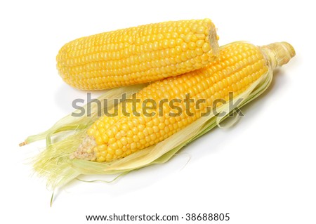 Fresh ear of corn cob isolated on white