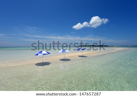 The beach and the beach umbrellas of midsummer.