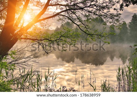 Misty dawn over the spring lake