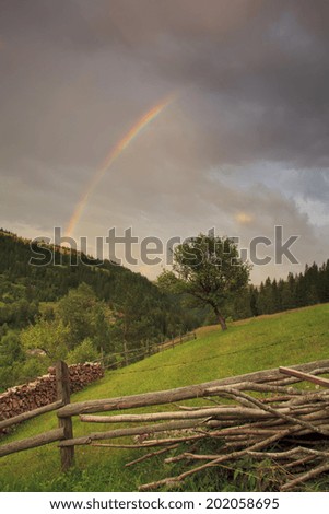Mountain forest with rainbow