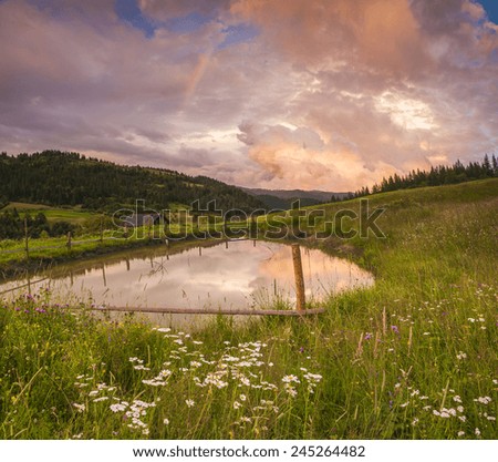 Flowery meadow in the mountains on the background of cloudy sky and rainbow.