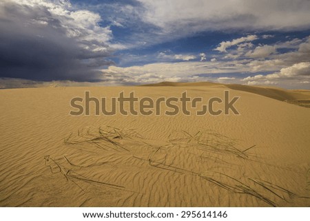 Desert landscape on the background of clouds. The Gobi Desert. Mongolia.