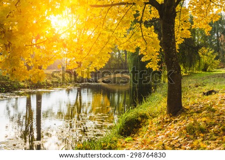 Beautiful autumn landscape with river, bridge and yellow trees.