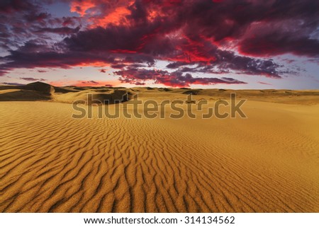 Majestic fiery sunset in the Gobi Desert. Mongolia.