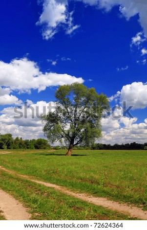 Green field with a lone tree and a blue sky