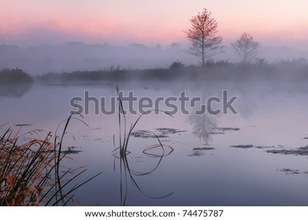 Misty morning on a small lake