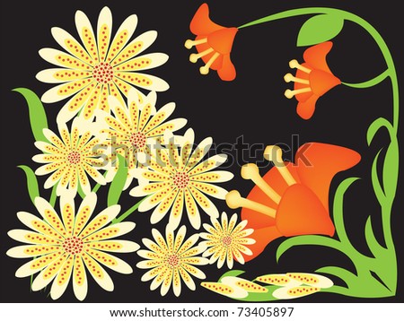 black flower wallpaper. stock photo : abstract flower wallpaper on lack