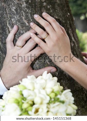 Bride and groom hands resting on a tree trunk