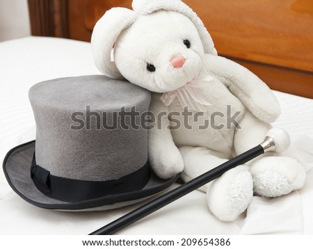 Tall hat and walking stick - Groom accessory with rabbit plush