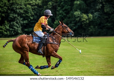 A Polo Player hits the Polo ball with a stick.