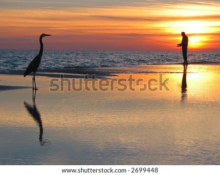 Fishing man and fishing bird on the beach at sunset