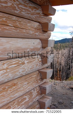 weathered log cabin, the cloud cap inn on mt. hood, oregon