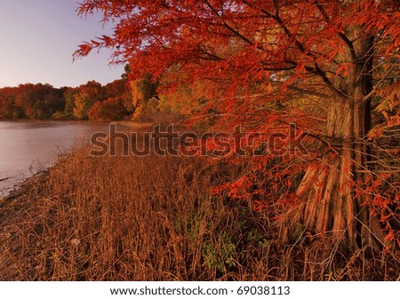 Autumn on the Tennessee River
