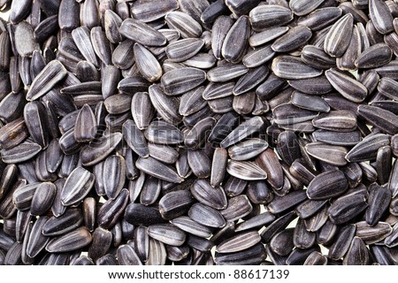 The piled black sunflower seeds of a sunflower (sunflower seeds crude, on them are available white hairs)