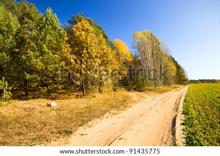 Not asphalted road to an autumn season (passes along wood on the one hand and and fields with another)