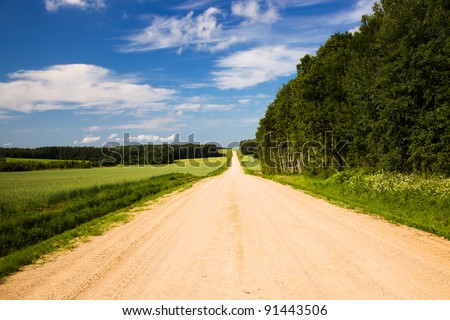 Not asphalted road to countryside. On the one hand roads wood, and with another an agricultural field grows