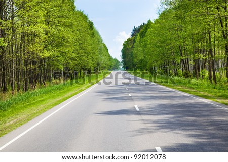 The asphalted road to a spring season. Along road birches grow