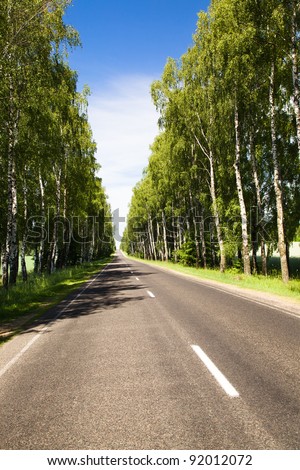 The asphalted road to summertime of year. Along road birches grow