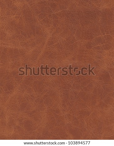 elite brown leather background.