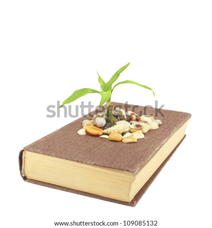 Vintage book of bamboo plants