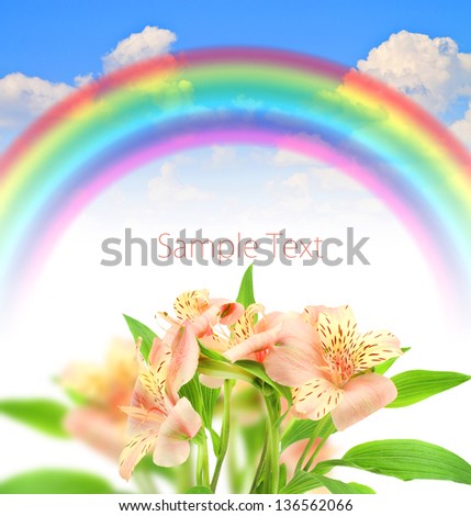 Lily Pink beautiful fresh flower rainbow blue summer sky