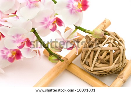 Blossoming white pink orchids with crossed bamboo sticks and wicker ball with focus on flowers