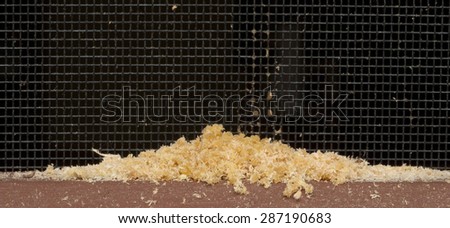 Sawdust, or frass, left on porch deck by a wood boring carpenter ant