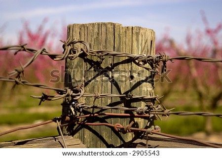 A fence post with barbed wire.
