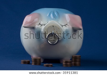 A piggy bank in full front view with a few pennies.
