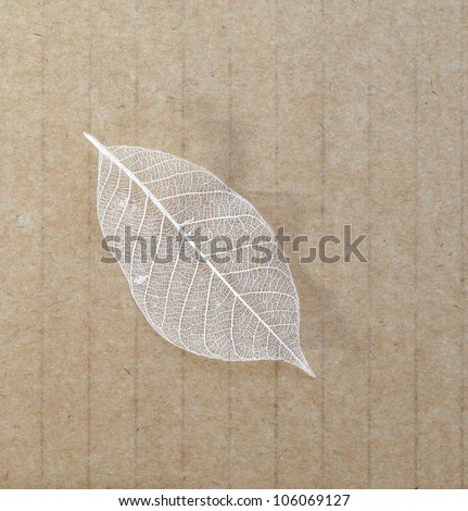 Old leaves on recycle paper background