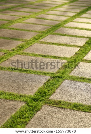 Grown lawn and slate patio, lush green landscape