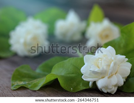 Tropical jasmine flower on wood.Jasmine flowers and leaves on brown wooden board.