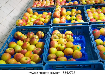 Apples in box case in to the shop
