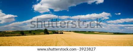 Landscape BIG panorama - field, trees and blue cloudy sky (ideal for background or wallpaper)