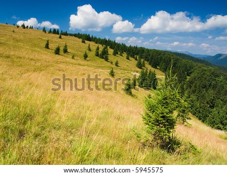 Beautiful mountain meadow landscape (ideal for background or wallpaper)