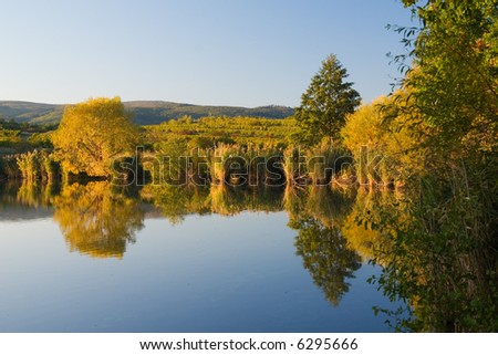 Autumn landscape, small lake, warm light (can be used how background or wallpaper)