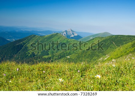 Beautiful mountain meadow - landscape (ideal for background or wallpaper)