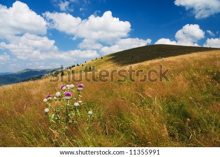 Beautiful mountain landscape (ideal for background or wallpaper)