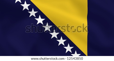 Bosnian Flag Waving