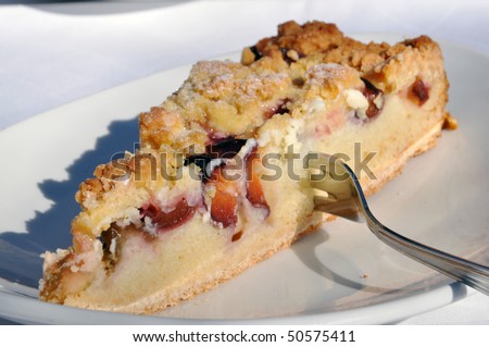 Varieties of Streusel Cake like this one with plums are typical cakes in Germany and Austria.