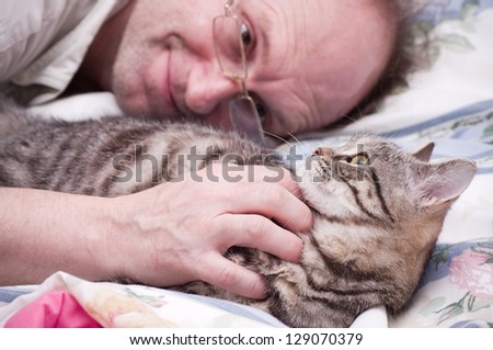 Old man pets a Scottish-straight gray beautiful cat