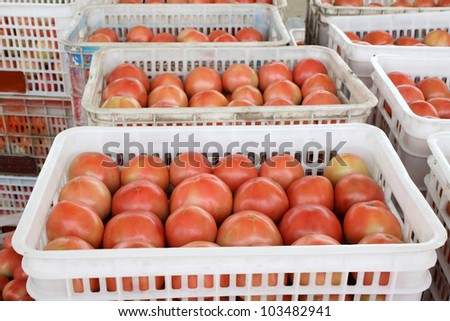 tomatoes piling up together in a market, north china