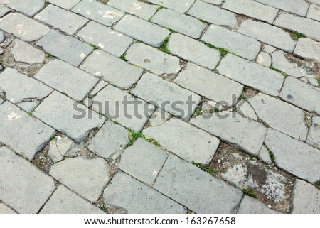 gray brick ground in a park, looks very old