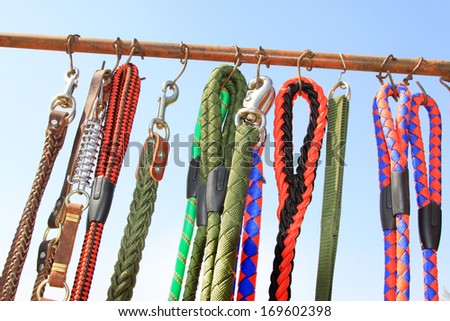 pet dog collar leash in a pet tool market, China